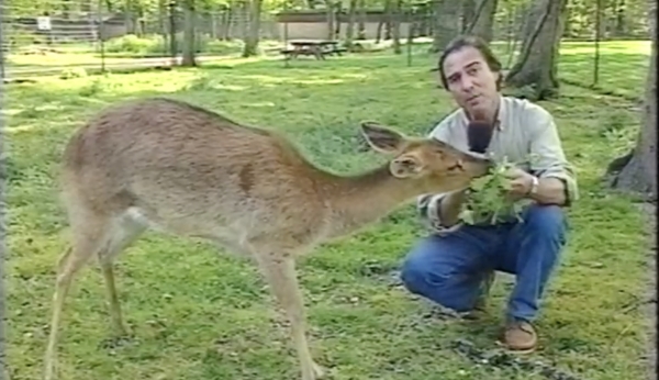 LE PARC DE CLERC ET LA RÉSERVE ZOOLOGIQUE DE LA HAUTE-TOUCHE