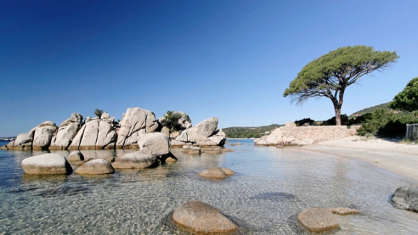 UN ÉTÉ EN CORSE HAUTE TENSION !