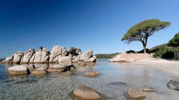 UN ÉTÉ EN CORSE HAUTE TENSION !
